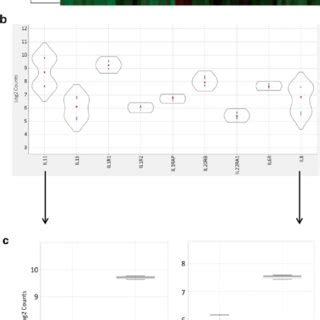 Data presentation. ( a ) Gene expression data of four different... | Download Scientific Diagram