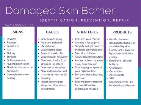 Damaged Skin Barrier? Step-By-Step Guide to Repair & Keep it Healthy