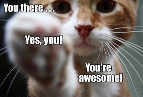 You there. Yes you! You're awesome!