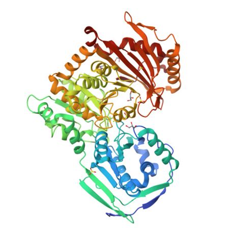 RCSB PDB - 5EPC: Crystal structure of wild-type human phosphoglucomutase 1