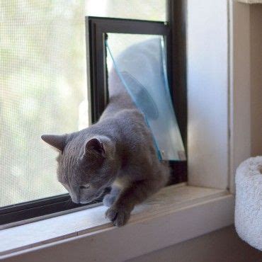 Diy Cat Door In Wall / Hale Flexible Cat Flap Pet Doors for Screens ...