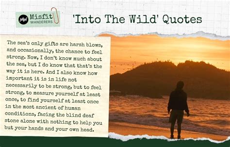 11 Inspiring Into The Wild Quotes For The Explorer In You