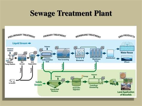 Sewage Treatment