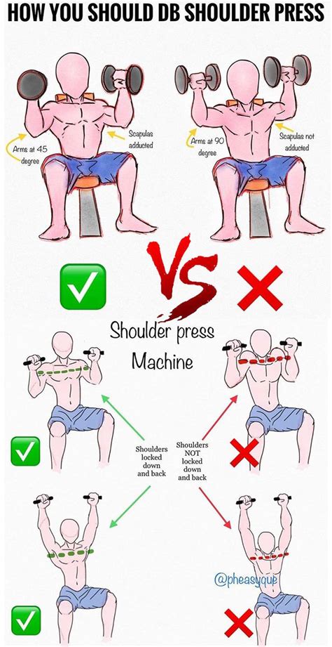 DUMBBELL SHOULDER PRESS GUIDE | Dumbbell shoulder press, Shoulder ...