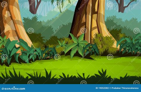 Jungle Background - Pleasant Scenery Stock Photography - Image: 19052082