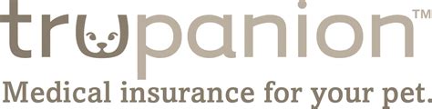 Pet Insurance | Georgia Veterinary Associates