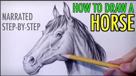 How to Draw a Horse: Narrated Step-by-Step Tutorial - YouTube