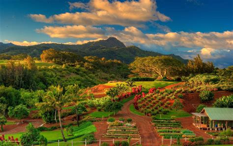 Hawaii Landscape Wallpapers - Top Free Hawaii Landscape Backgrounds - WallpaperAccess