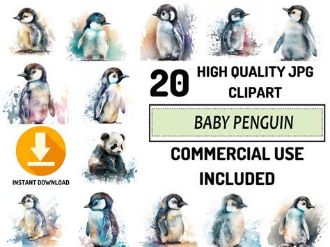 Baby Penguin Clipart 20 High Quality Jpgs Full Commercial - Etsy