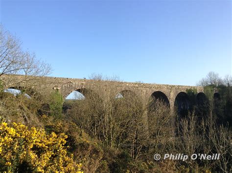 Flickriver: Most interesting photos from Stradbally, Waterford, Ireland