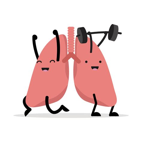 healthy happy lungs cartoon vector 1883023 Vector Art at Vecteezy