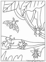 50  Bugs Coloring Pages Free Printable PDF & Online Coloring sketch template