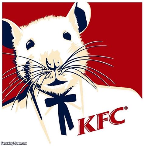 Rats #KFC | Funny rats, Funny pictures, Funny