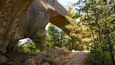 Nature up close: Kentucky's Red River Gorge - CBS News