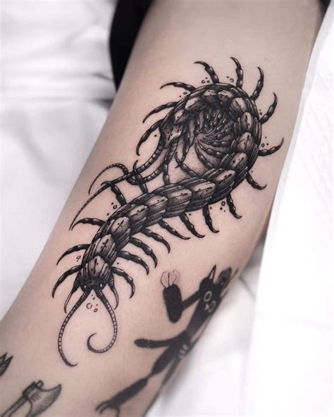 Centipede Tattoo: Complete guide and +12 tattoo designs!