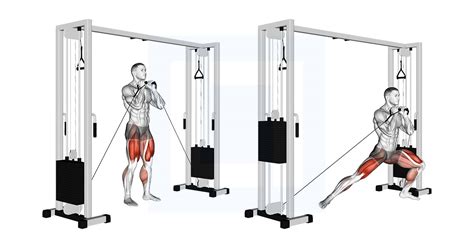 Cable Lateral Lunge - Guide, Benefits, and Form