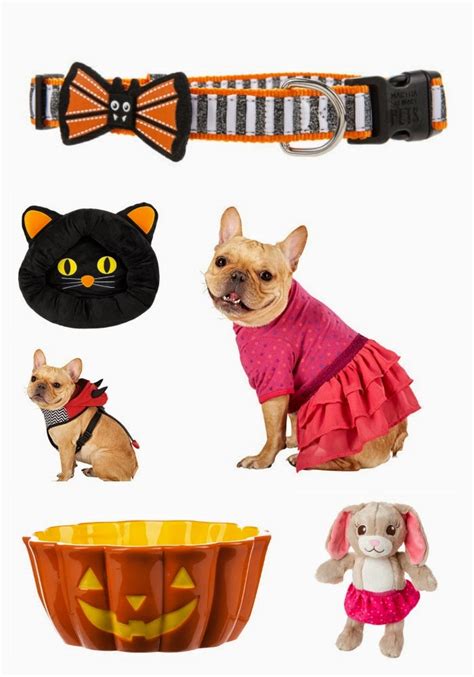 Fall Fashion for Dogs | Pawsitively Pets