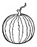 Oranges coloring Page  Free Printable Coloring Pages sketch template