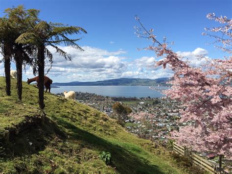 Rotorua Skyline Gondola & thrills – Catching the Magic