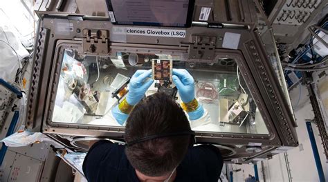 ISS Looks for Experiments for Tissue Engineering and Bioprinting in Orbit - 3DPrint.com | The ...