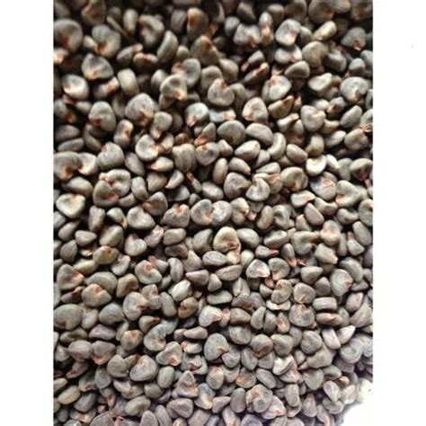 Dried Kenaf Seed, For Medicinal, Packaging Type: Loose at Rs 2400/kg in Dindigul