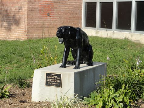 'Newsweek' Ranks Pikesville High School Among Top Schools in U.S ...