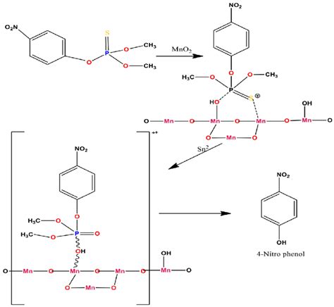 Degradation mechanism of parathion methyl by mesoporous MnO 2 . A.... | Download Scientific Diagram