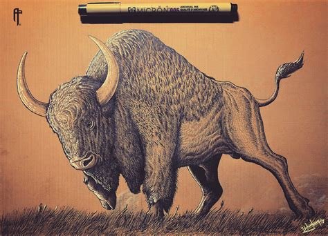 Steppe Bison. Drawing on toned paper by me. From 2019. : r/Naturewasmetal