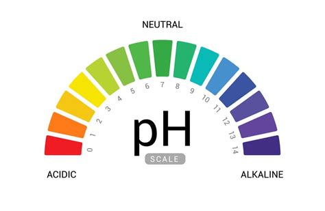 Women’s PH Balance Symptoms, Best Vitamins and More | Ph chart, Circle ...