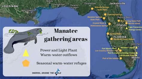 10 Interesting Facts about Florida Manatees