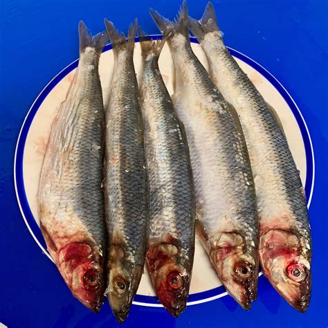 HERRINGS - Eat More Fish | Buy Online - Free Nationwide Delivery