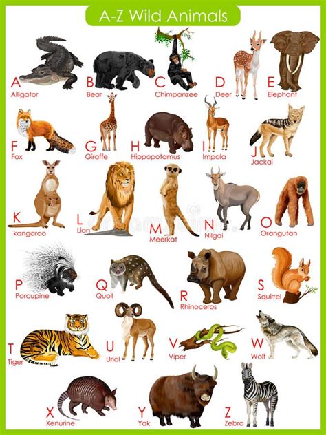 Photo about Easy to edit vector illustration of chart of A to Z wild ...