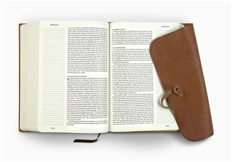 ESV Single Column Journaling Bible, Large Print (Brown, Flap with Strap) ESV, English Standard ...