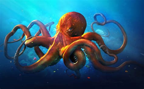 Cute Octopus Wallpaper (43+ images)