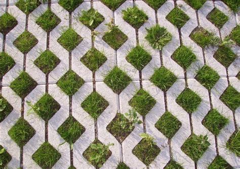 semi-permeable pavers Archives - Dyck Arboretum