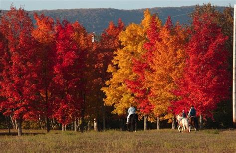 Fall in Nova Scotia is spectacular with vibrant colours in red, orange ...