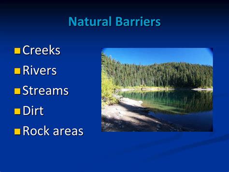 PPT - Natural Cover Fires PowerPoint Presentation, free download - ID ...