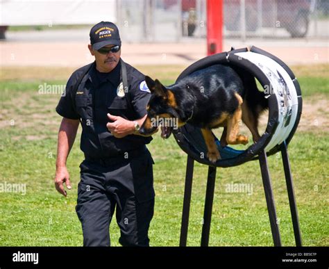 Police dog training hi-res stock photography and images - Alamy