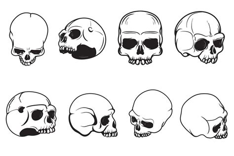 Set of skull drawings of human skull Vector 13593294 Vector Art at Vecteezy