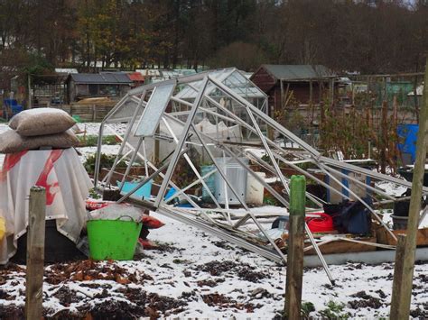 Storm Arwen Damage – Garthdee Allotments