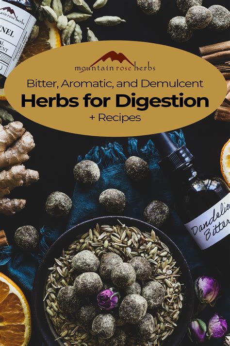 Bitter, Aromatic, and Demulcent Herbs for Digestion + 3 Recipes