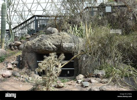 Biosphere 2 interior hi-res stock photography and images - Alamy