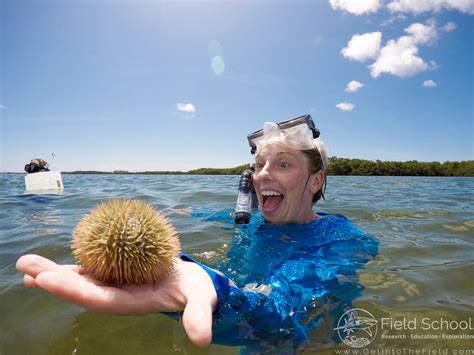 Intro to Tropical Marine Research - Field School