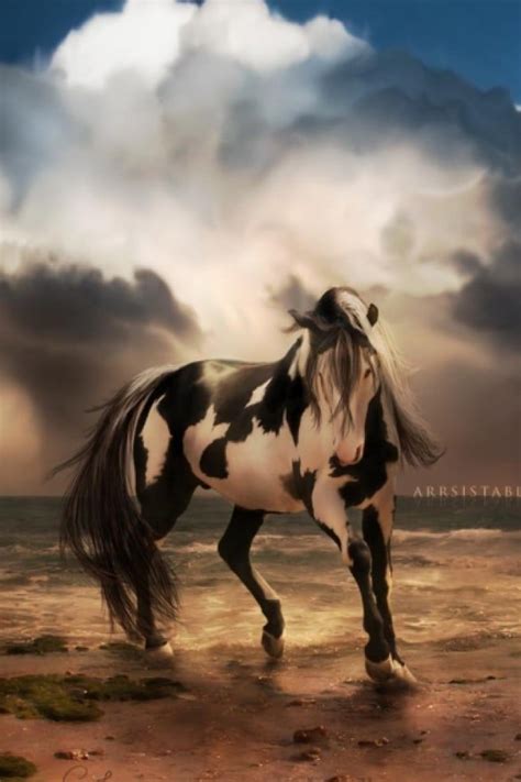 Horse Wallpaper for iPhone - WallpaperSafari