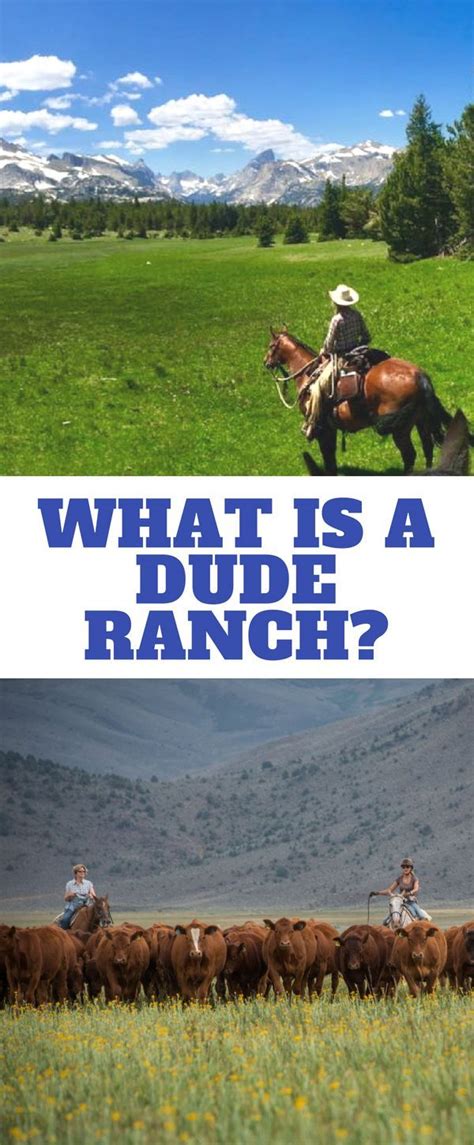 What is a Dude Ranch? - The Dude Ranchers' Association | Dude ranch ...