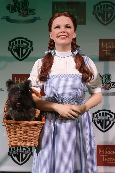 Dorothy In Oz Hairstyle - Wavy Haircut