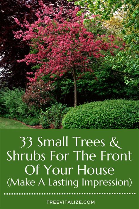 33 Small Trees & Shrubs for the Front of Your House - Make a Lasting ...