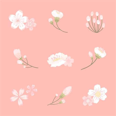 Hand drawn of sakura flower | Royalty free stock vector - 406243