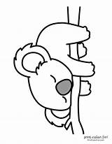 21 Free Cute Koala coloring pages & koala Clipart Printables At  sketch template
