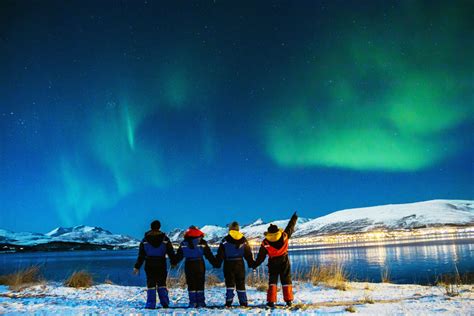 14 EPIC Tromso Northern Lights Tours ️2024 Update (+Prices)